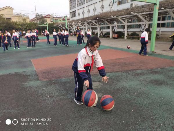 微信图片_20190327172955.jpg