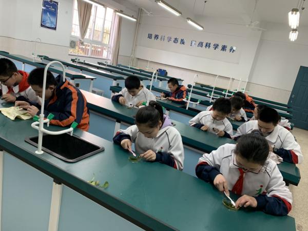 微信图片_20190327173019.jpg